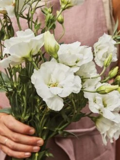 Alternative view of Lisianthus, White Rose