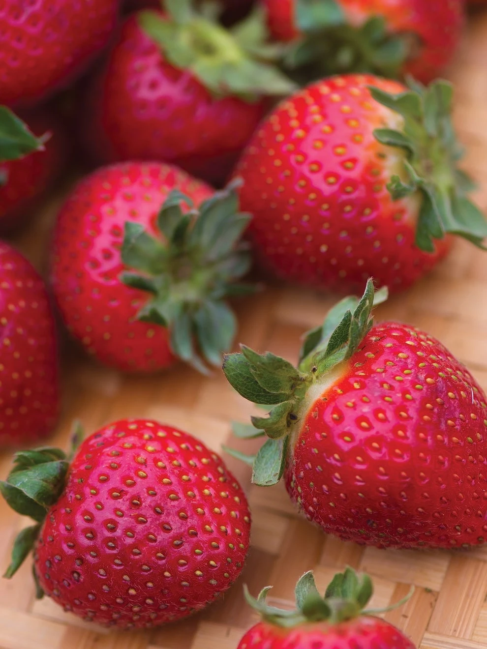 Strawberry, Evie-2 3 Strawberry, Evie-2