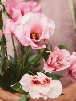 Alternative view of Lisianthus, Peppermint Pink