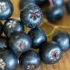 Aronia Melanocarpa, Viking 1 Aronia Melanocarpa, Viking -Plant Seed Store 9ee88efcd2e79d8c1c3850292e7ee5a6328911ad119b1fd0b9457d5f80288fec