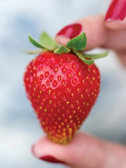 Strawberry, Sweet Kiss 4 Strawberry, Sweet Kiss - Image 2
